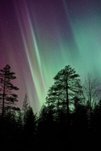 Surviving Kaamos: A Practical Guide to Finland’s Polar Night